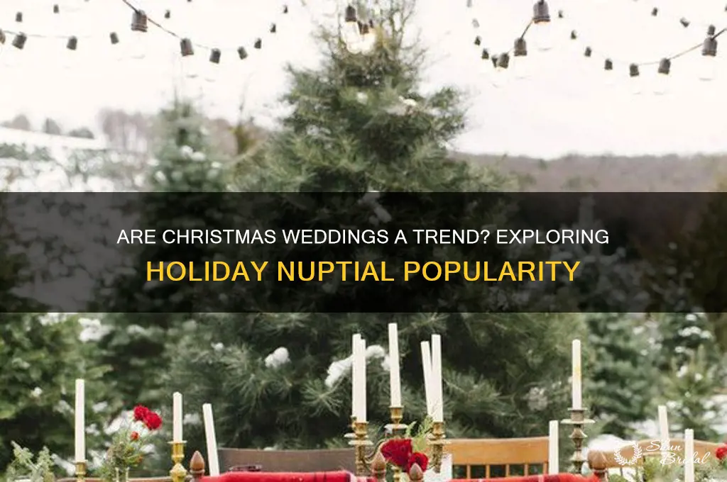 do people have christmas weddings