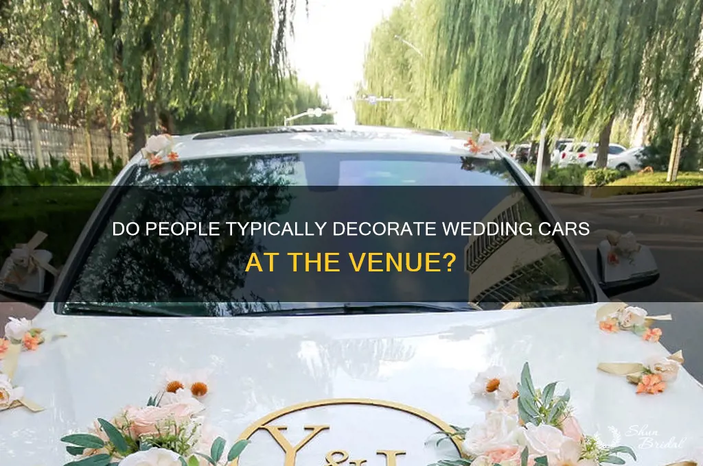 do people normally put dr wedding place cars