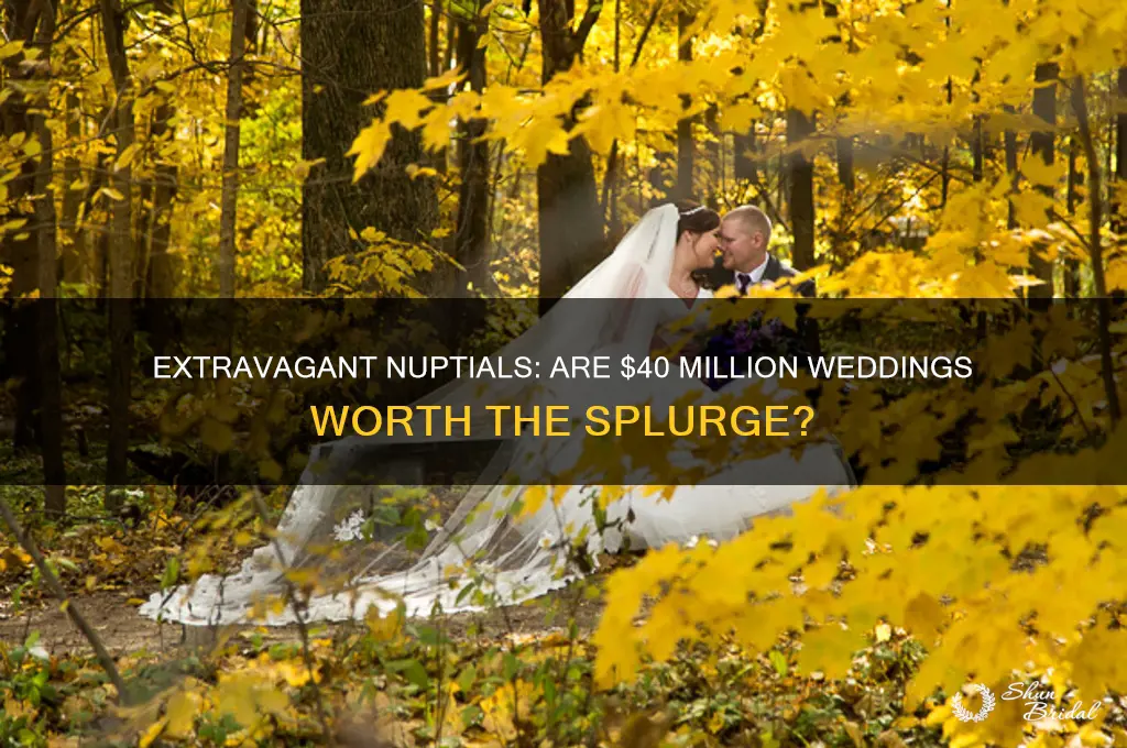 do people pay 40 million dollars for weddings