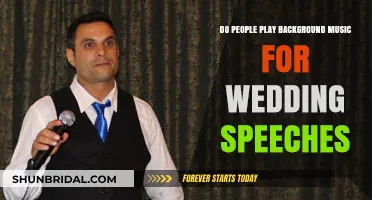 Should You Play Background Music During Wedding Speeches? Pros and Cons