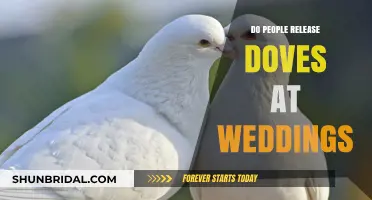 Why Do People Release Doves at Weddings? Symbolism Explained
