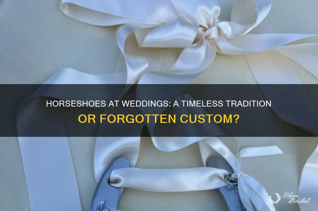 do people still give horseshoes at weddings