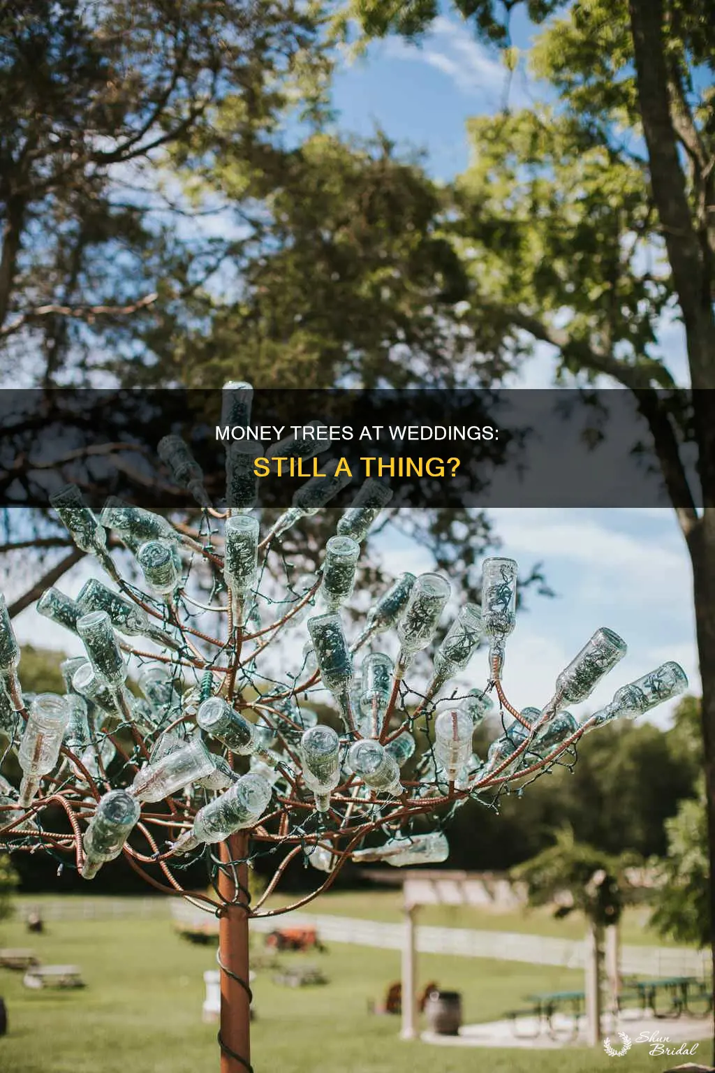 do people still use money trees at wedding receptions