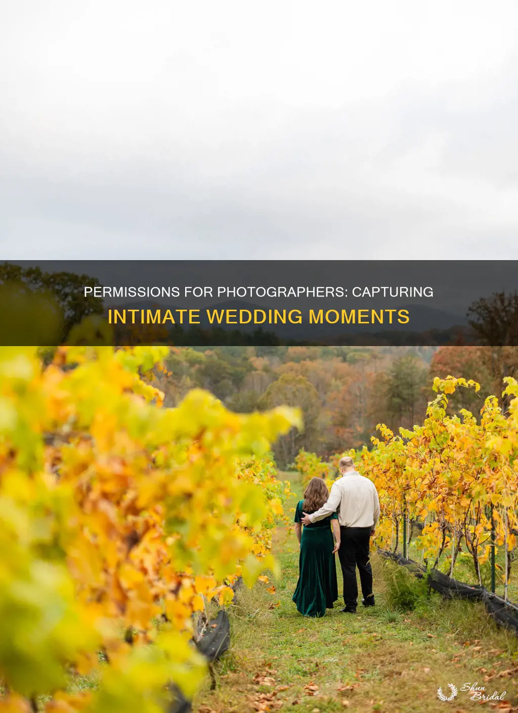 do photographers need permission for nsp weddings