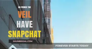Do Pierce the Veil Have Snapchat? Find Out Here!