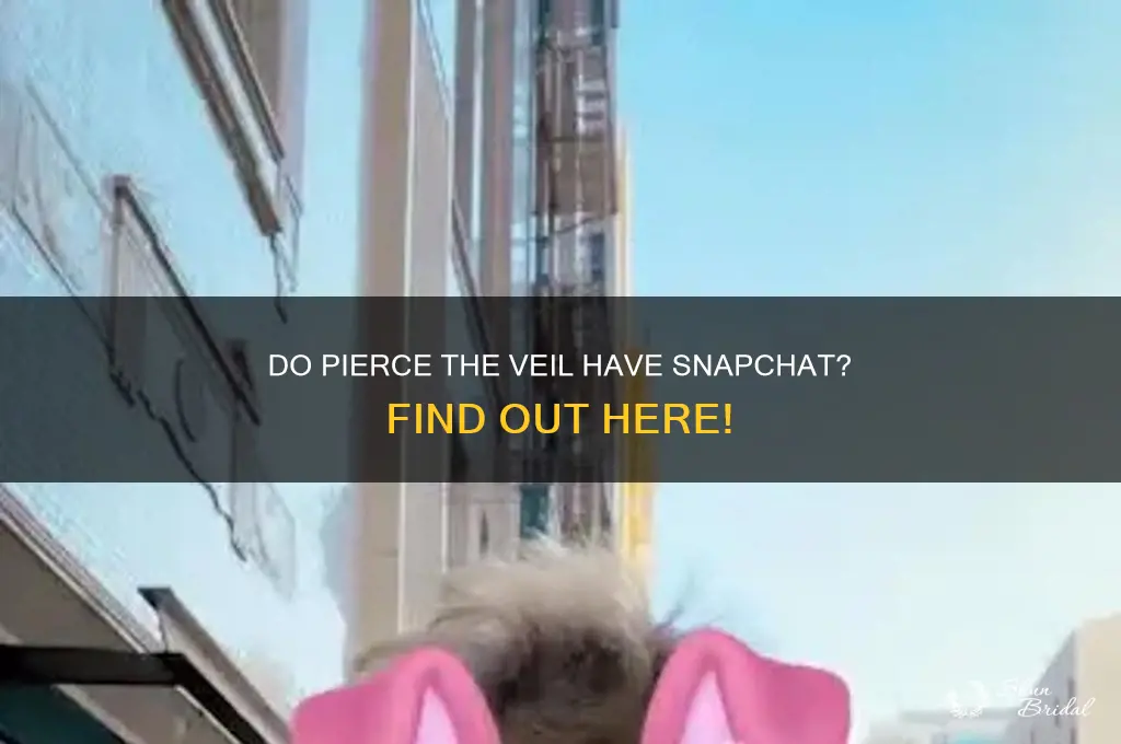 do pierce the veil have snapchat