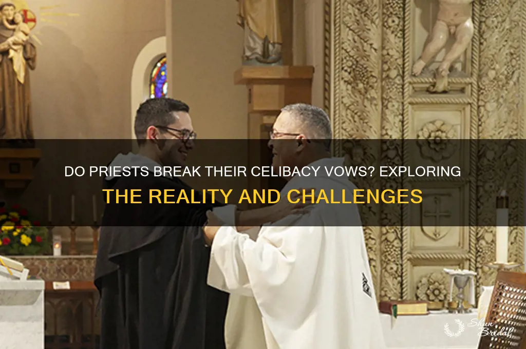 do preist break there selebacy vow