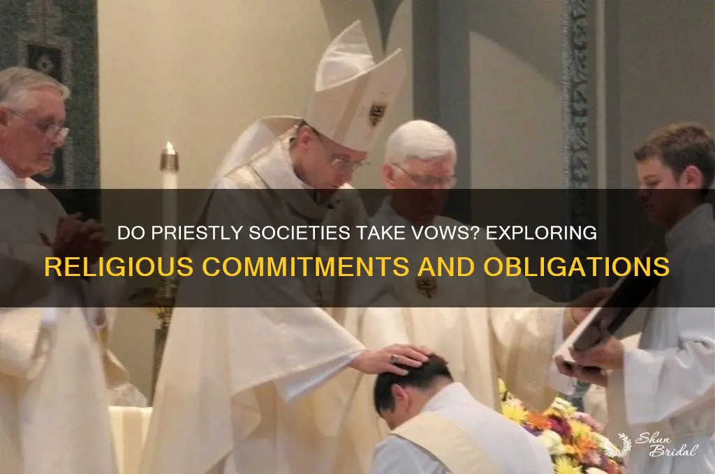 do priestly societies take vows