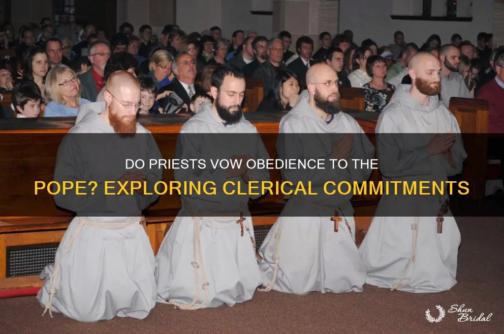 do priests take of vow of obedience to the pope