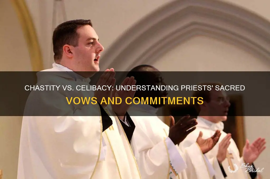 do priests take vow of chastity or celibacy