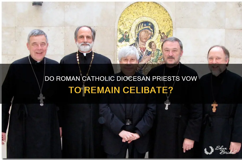 do roman catholic diocesan priests take a vow of celebacy