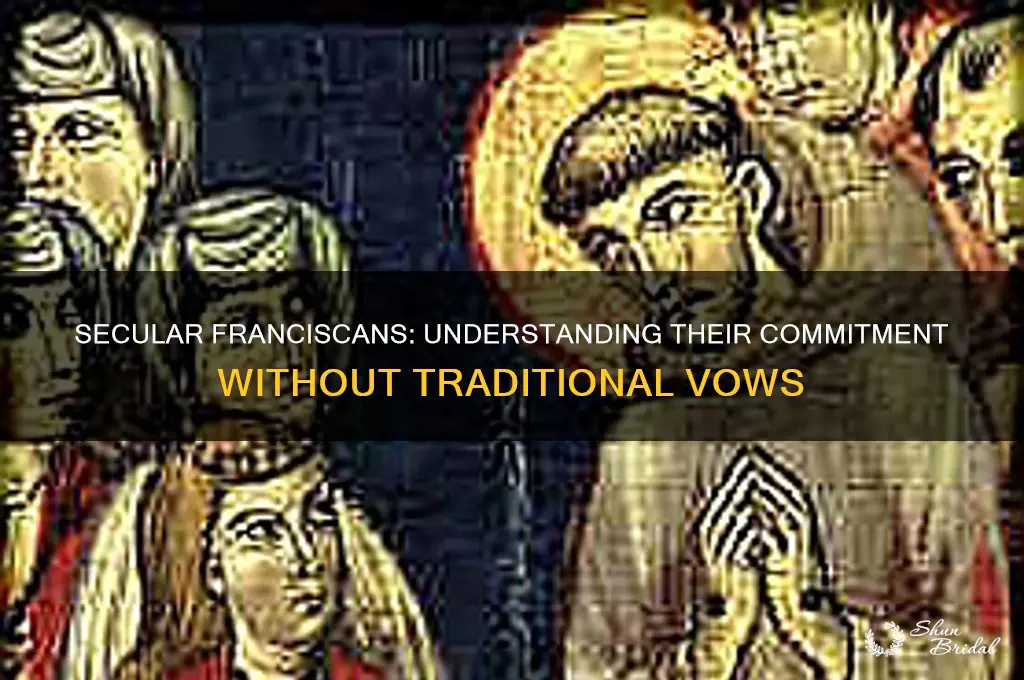 do secular franciscans take vows