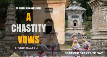 Shaolin Monks and Chastity: Unveiling the Truth Behind Their Vows