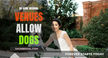 Finding Dog-Friendly Wedding Venues: A Couple's Guide