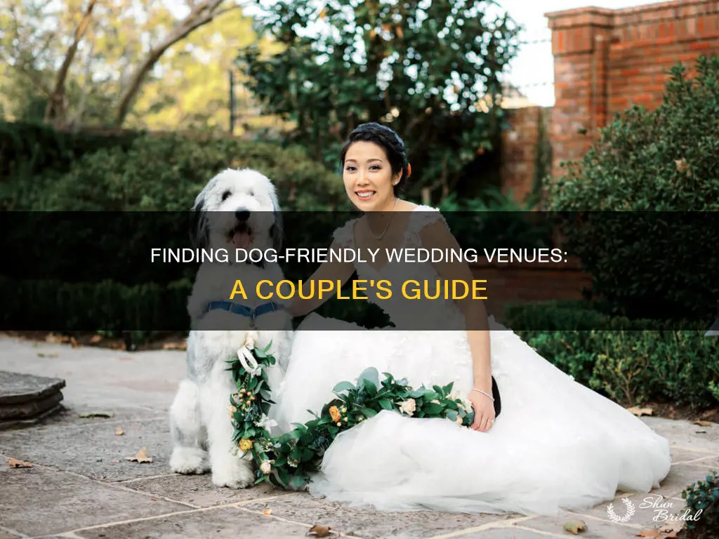 do some wedding venues allow dogs
