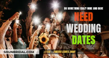 Crazy Wedding Dates: Mike and Dave's Wild Ride