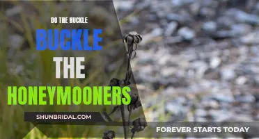 The Huckle Buckle Honeymooners: A Dance Through Time