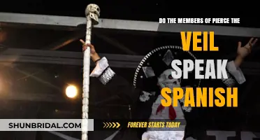 Pierce the Veil's Spanish Connection: Do the Members Speak It?