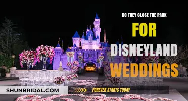 Disneyland Weddings: Park Access and Privileges Explored