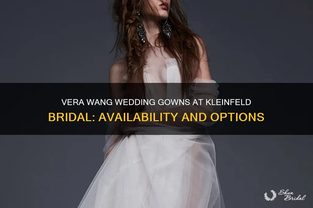 do they have vera wang wedding gowns at kleinfeld bridal