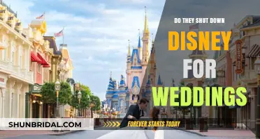 Disney Weddings: Magical, but Exclusive