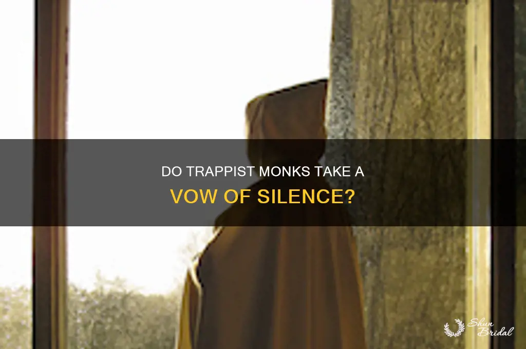 do trappist monks take a vow of silence