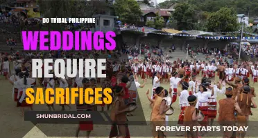 Philippine Tribal Wedding Traditions: Exploring Sacrifice Rituals