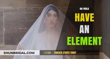 Do Veils Hold an Element of Mystery or Tradition?