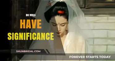 Unveiling the Cultural and Symbolic Significance of Veils Across Traditions