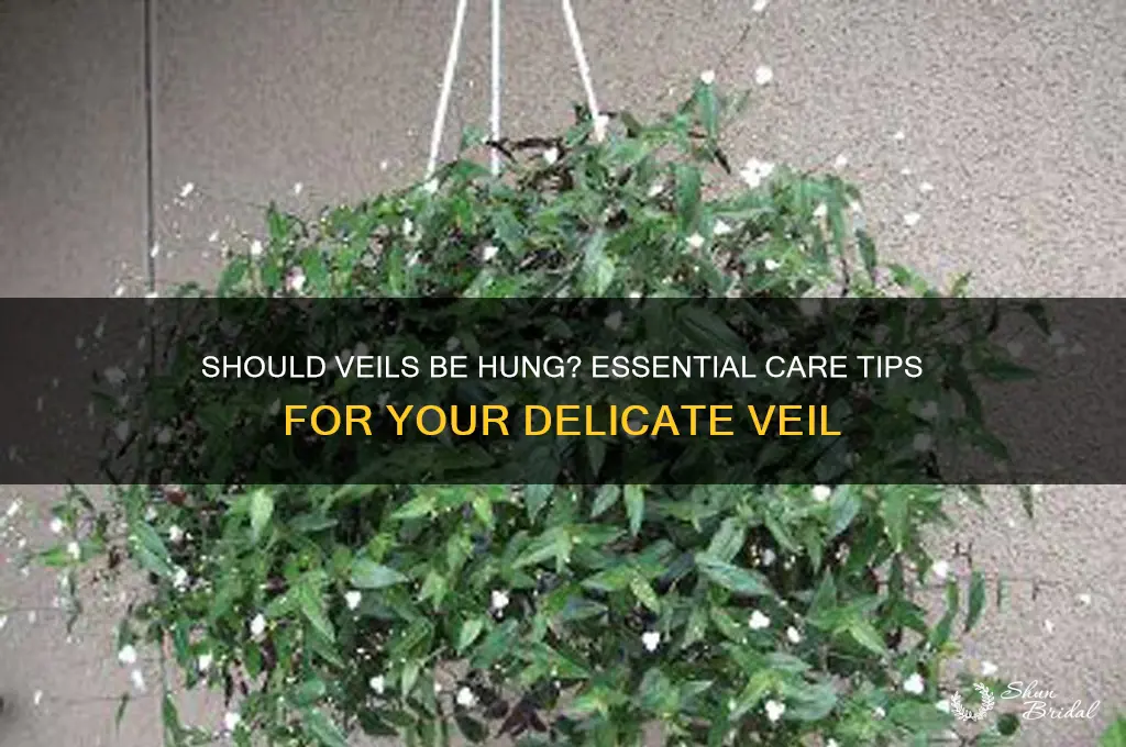 do veils need to be hung