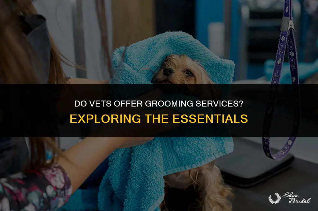 do vets do grooming