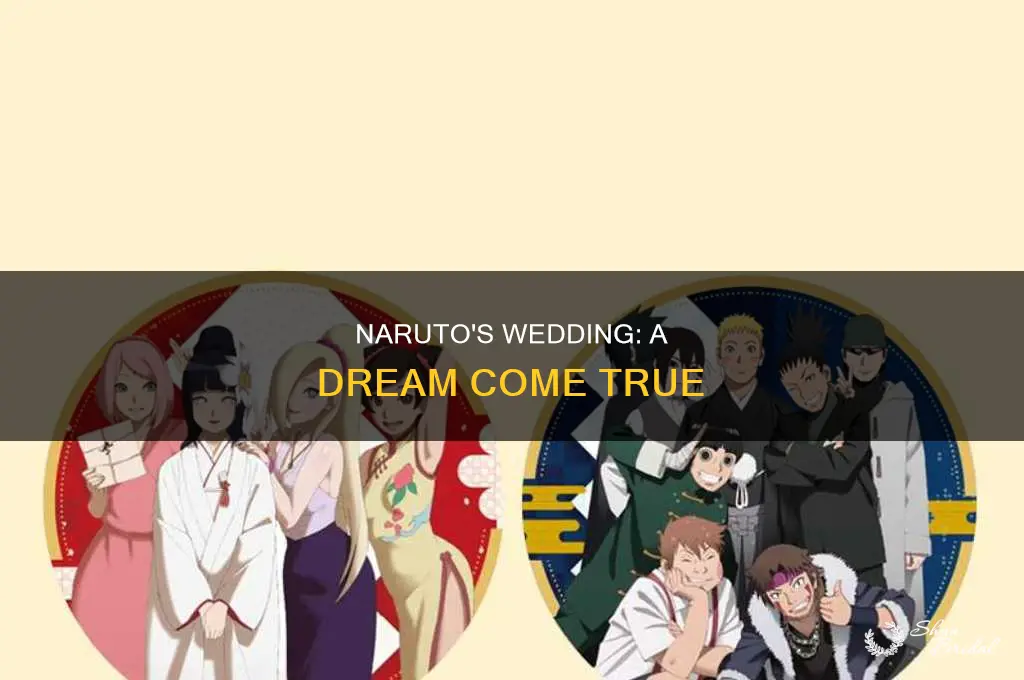 do we ever see naruto