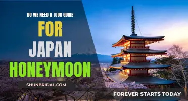 Honeymoon in Japan: Exploring the Need for a Tour Guide