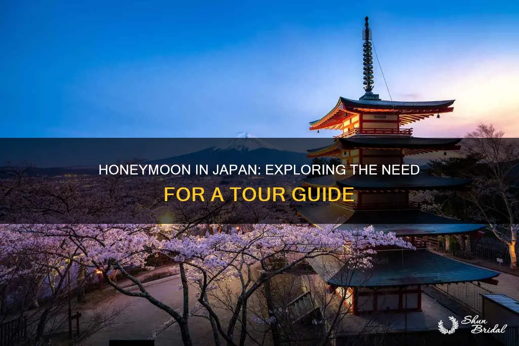 do we need a tour guide for japan honeymoon