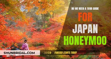 Exploring Japan: Do You Need a Tour Guide?