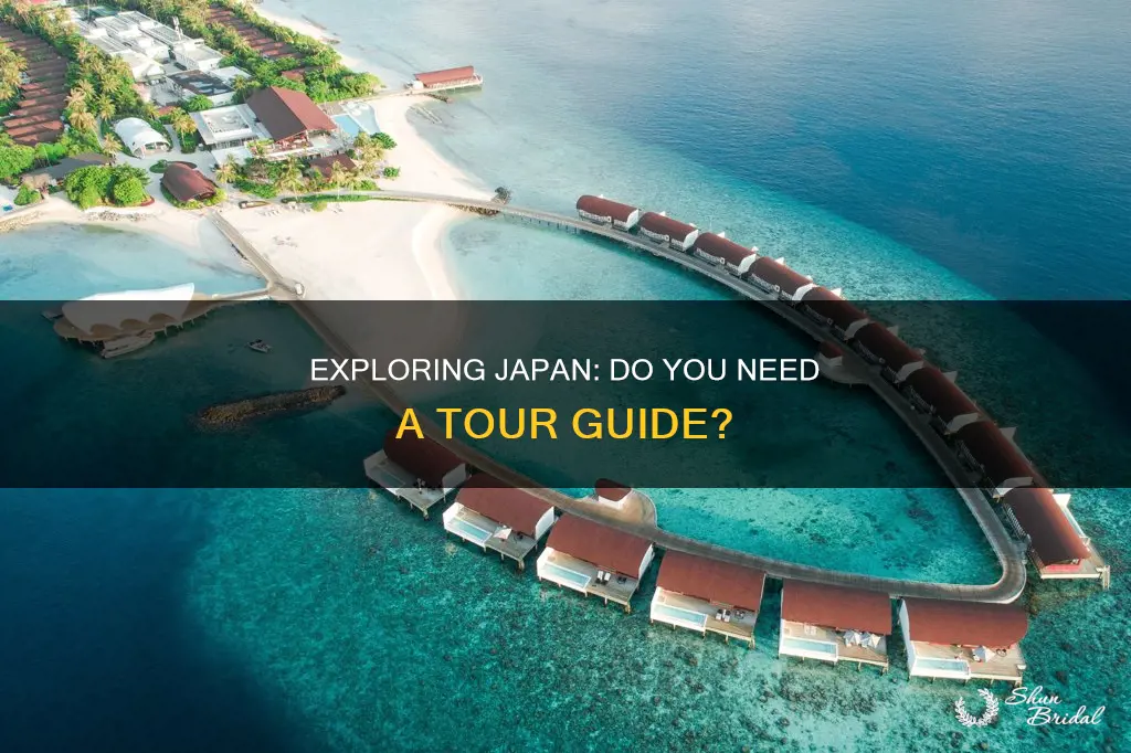 do we need a tour guide for japan honeymoon