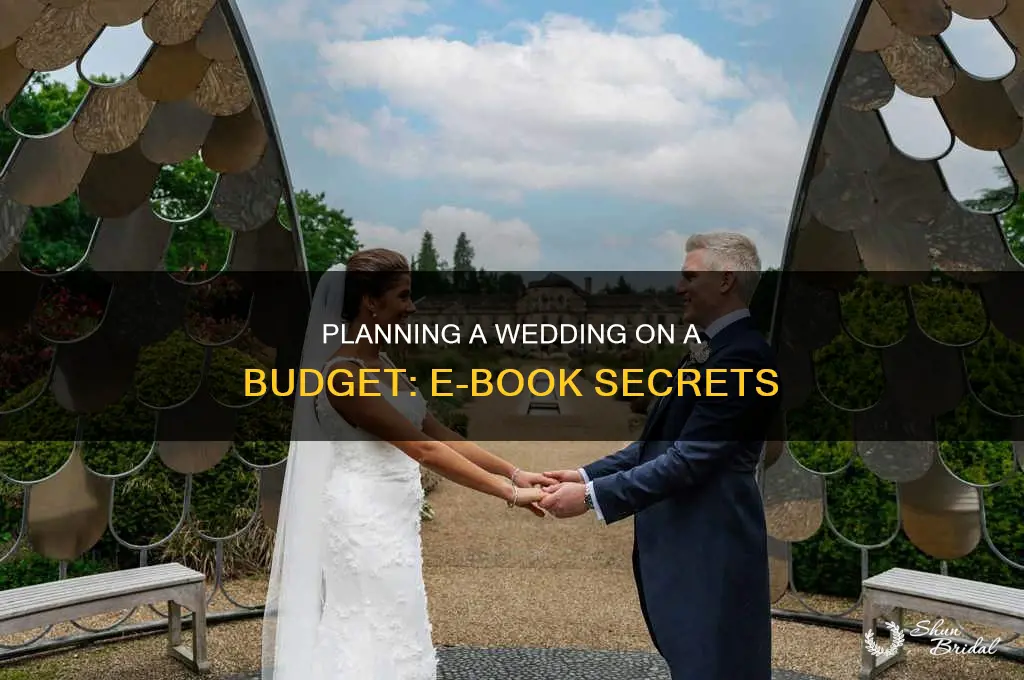 do wedding budget ebooks do well