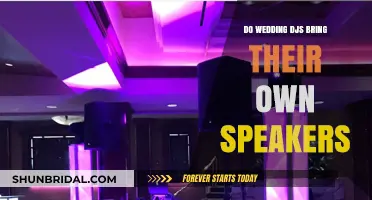 Wedding DJs: Speakers and All