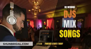 Wedding DJs: Mixing Songs, Creating Moments