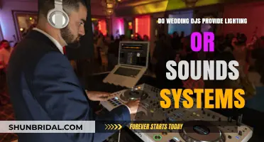 Wedding DJs: Lighting and Sound Systems