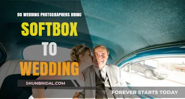 Softboxes at Weddings: Are They Worth the Hassle?