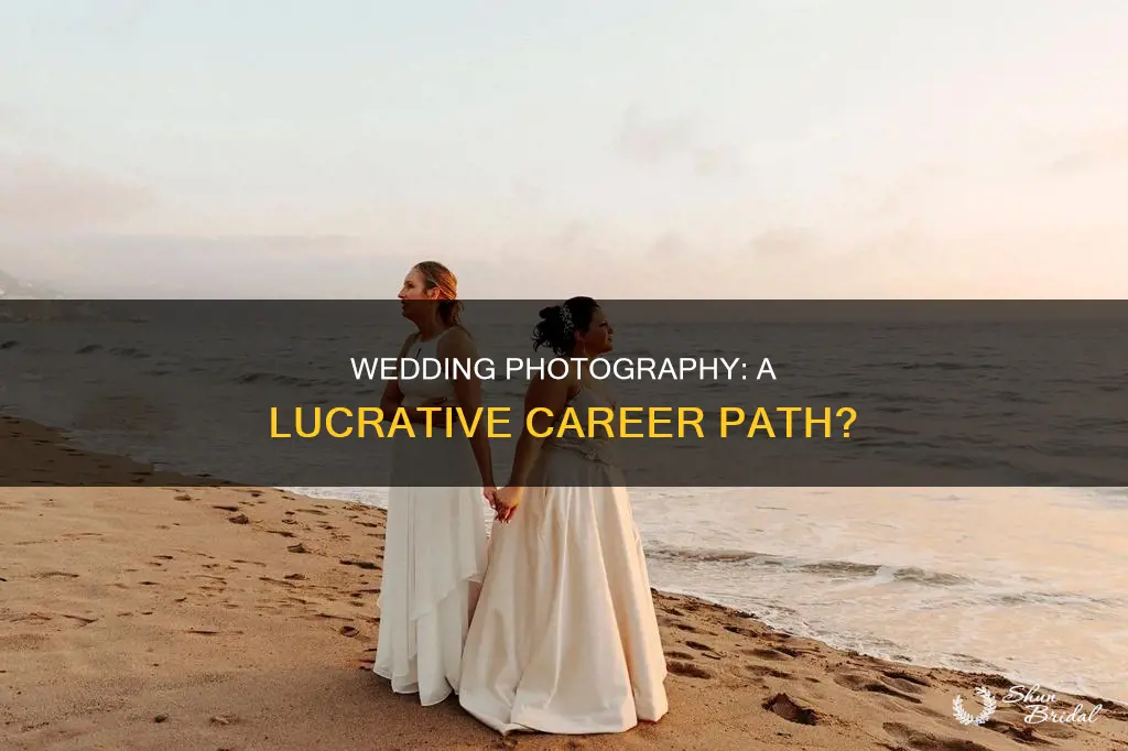 do wedding photographers make a lot of money