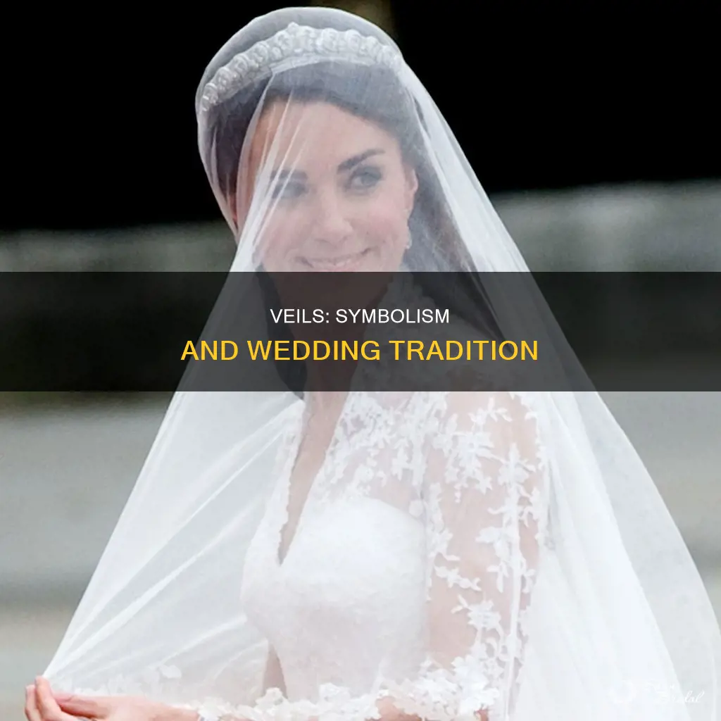 do wedding veils mean anything