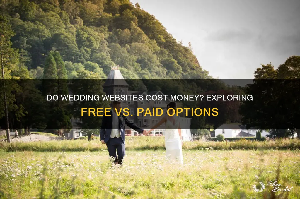 do wedding websites cost money