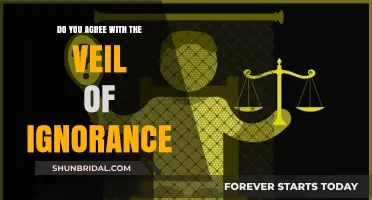 Veil of Ignorance: Fairness or Flawed Philosophy? A Critical Analysis