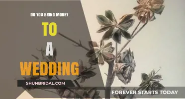 Money at Weddings: How Much to Bring and When?