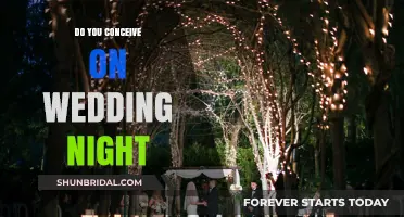 Conceiving on Your Wedding Night: Myths, Realities, and What to Expect