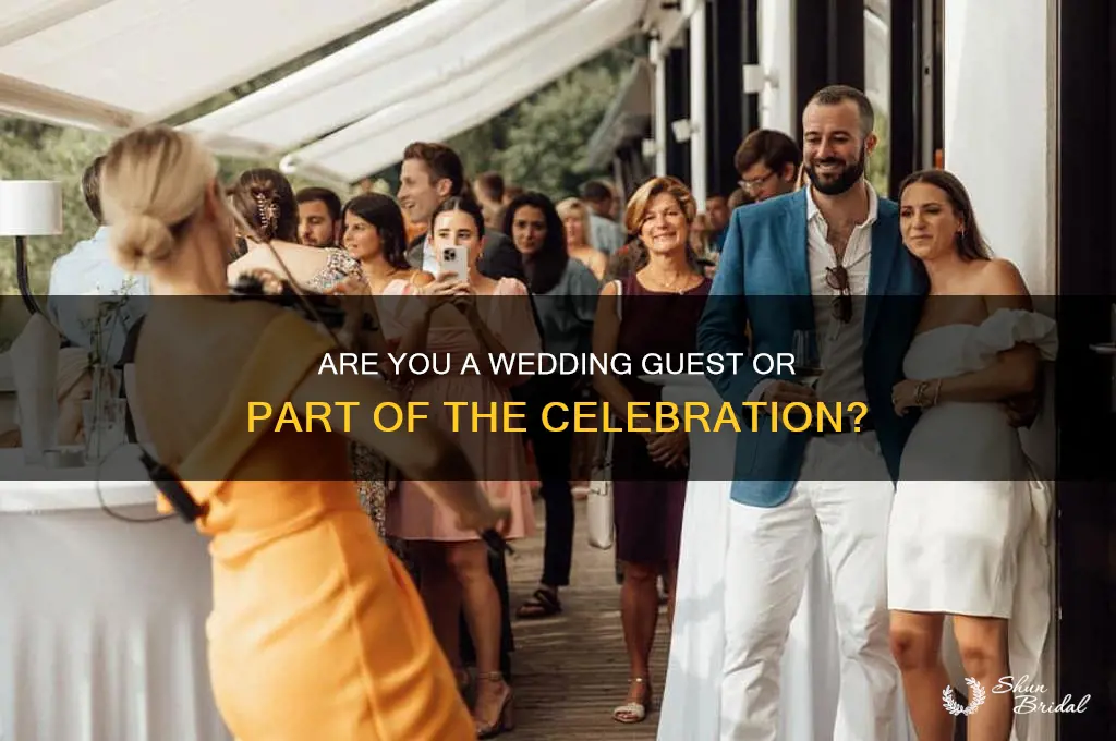 do you count yourself as a wedding guest