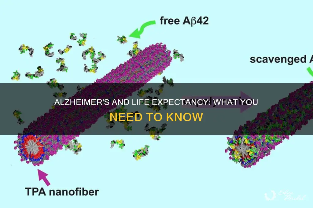 do you die from alzheimer