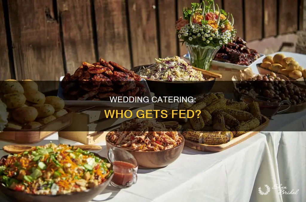 do you feed dj and photographer at wedding